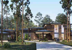 Villa in the pine forest